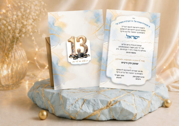 דוגמא הדמיה13111